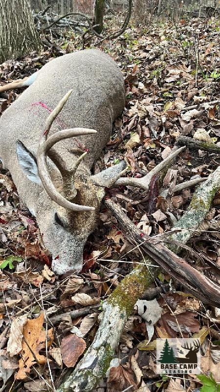 Click to Enlarge and for Description