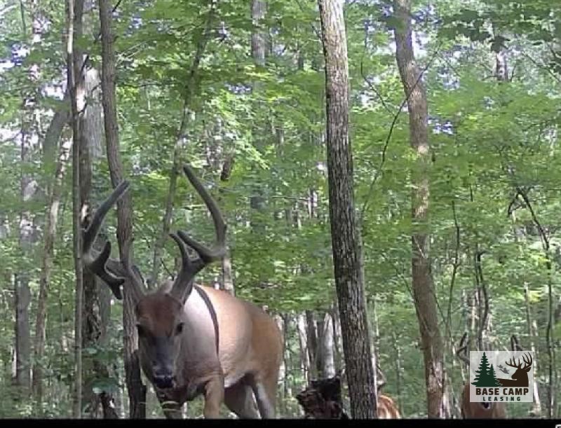 Click to Enlarge and for Description