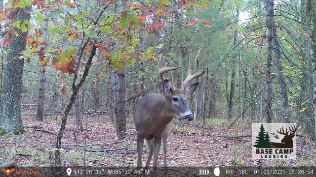 Click to Enlarge and for Description