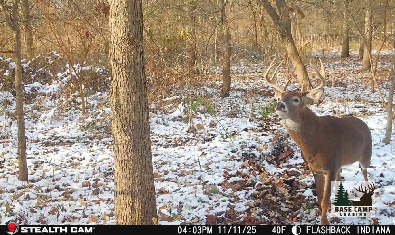 Click to Enlarge and for Description