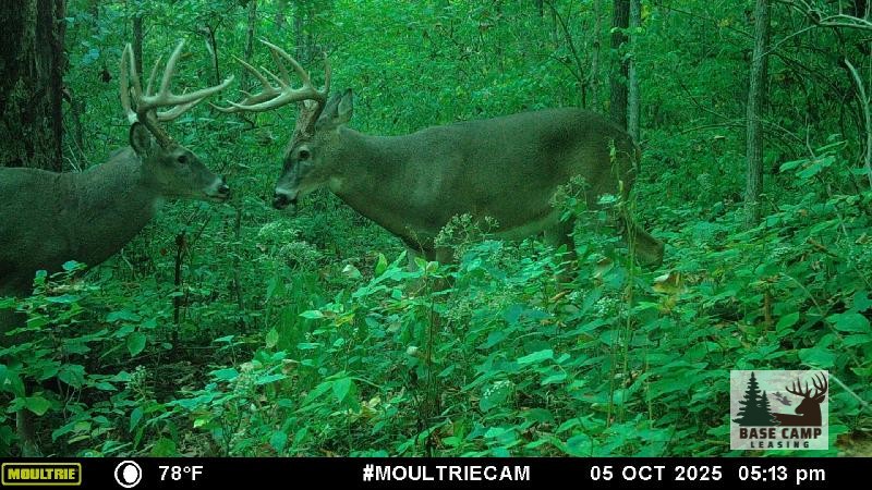 Click to Enlarge and for Description