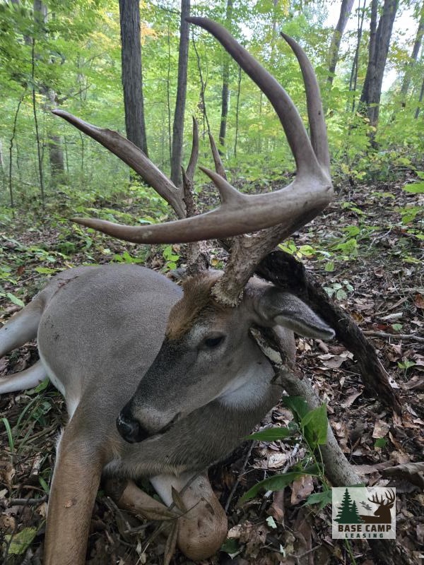 Click to Enlarge and for Description