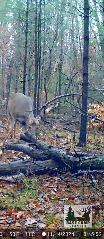 Click to Enlarge and for Description