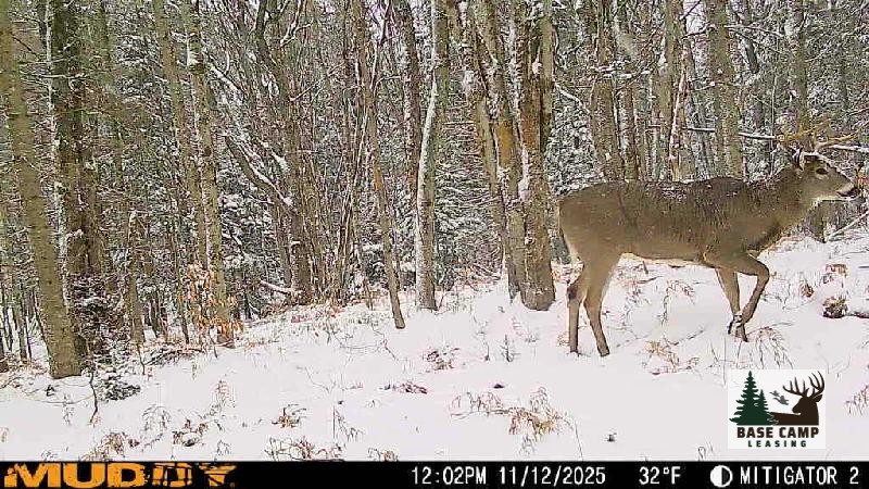 Click to Enlarge and for Description