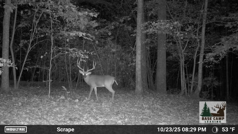 Click to Enlarge and for Description