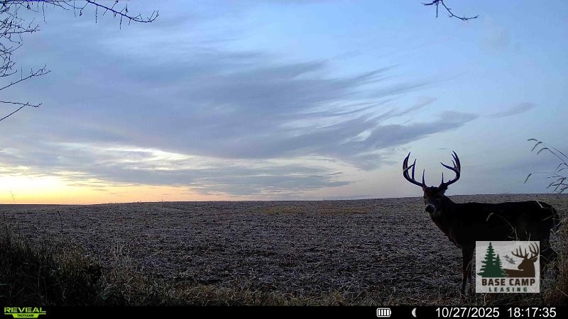 Click to Enlarge and for Description