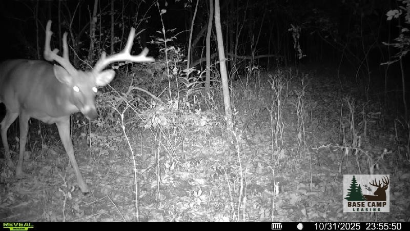 Click to Enlarge and for Description