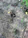 Click For Enlarged Photos and Maps