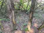 Click For Enlarged Photos and Maps
