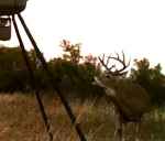 Click For Enlarged Photos and Maps