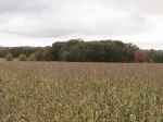 Click For Enlarged Photos and Maps
