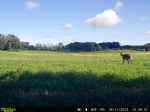 Click For Enlarged Photos and Maps