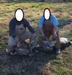 Click For Enlarged Photos and Maps
