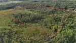 Click For Enlarged Photos and Maps