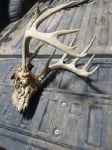 Click For Enlarged Photos and Maps